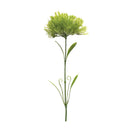 Melrose International, Puff Stem, 24"