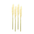 Melrose International, Pampas Spray, 30"