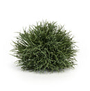 Melrose International, Half Orb, 6" Green