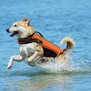 Ethical Pet, Life Vest, Orange