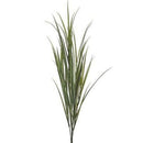 Regency, Ornamental Grass Bush, 41"