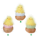 Raz, Hatched Chick in Nest, 5", Assorted and Sold Separately