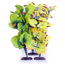 Blue Ribbon, Vibran Sea Clear Burst Floral, Broad Leaf Pack