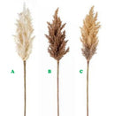 Melrose International, Astilbe, 36", Assorted & Sold Separately