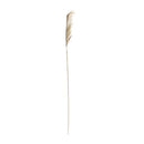 Melrose International, Plum Stem, 41.5"