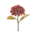 Raz Imports, 18'' Dried Hydrangea Stem