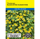 Lake Valley, Black Eyed Susan Thunbergia Vine