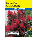 Lake Valley, Celosia Forest Fire