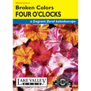 Lake Valley, Four O'Clocks Broken, Mixed Colors