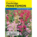 Lake Valley, Penstemon Cambridge Dwarf Colors