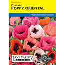 Lake Valley, Poppy Oriental Pizzicato, Mixed Colors