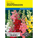 Lake Valley, Snapdragon Tetra Giants, Mixed Colors