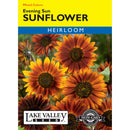 Lake Valley, Sunflower Evening Sun, Mixed Colors