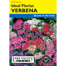 Lake Valley, Verbena Ideal Florist, Mixed Colors