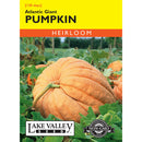 Lake Valley, Pumpkin, Atlantic Giant