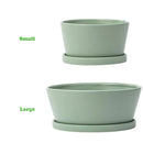 Napco, Green Dish Garden W/ Saucer, Various Sizes
