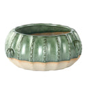 Napco, Cactus Dish Garden Planter