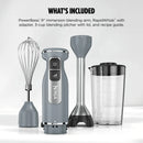 Handheld Immersion Blender with Whisk - Gray