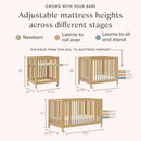 Rolli 9-in-1 Convertible All-Stages Crib with Bassinet & Toddler Bed Conversion Kits - Honey