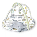 Safari Play Gym - Carters