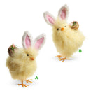 Raz, 9" Chick with Bunny Ears, Assorted and Sold Separately
