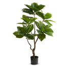 Raz, Potted Coffee Plant, 4.5'