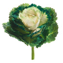 Raz, Real touch Cabbage Pick