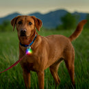 Nite Ize, Spot Lit Collar Light Rechargeable
