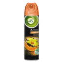Air Wick Aerosol Air Freshener, 8 Oz Can, Hawaii Exotic Papaya/Hibiscus Flower, 12/Carton - RAC85257