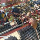 Royal Raindrops Crabapple Tree, 15 Gal.