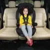 Finale 2-in-1 Booster Car Seat - Icicles