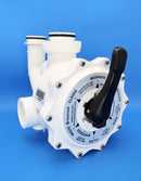 Pentair DE Multiport Valve, 2" Side Mount | 261152
