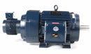 Marathon Motors 40 HP Vector Motor,3-Phase,1770 Nameplate RPM,230/460 Voltage,Frame 324TC - 324THFPA8038