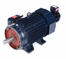 Marathon Motors 50 HP Vector Motor,3-Phase,1765 Nameplate RPM,230/460 Voltage,Frame 326TC - 326THFPA8038