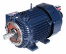 Marathon Motors 75 HP Vector Motor,3-Phase,1780 Nameplate RPM,230/460 Voltage,Frame 365TC - 365THFS8046