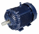 Marathon Motors 125 HP Vector Motor,3-Phase,1788 Nameplate RPM,460 Voltage,Frame 444T - 444THFN8036