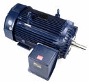 Marathon Motors 250 HP Vector Motor,3-Phase,1788 Nameplate RPM,460 Voltage,Frame 447/9T - 449THFS8036