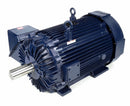 Marathon Motors 250 HP Vector Motor,3-Phase,1788 Nameplate RPM,460 Voltage,Frame 447/9T - 449THFS8036