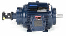 Marathon Motors 7 1/2 HP Vector Motor,3-Phase,1782 Nameplate RPM,230/460 Voltage,Frame 254TC - 254THEN8058
