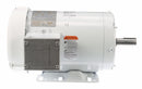 Marathon Motors 1 HP Washdown Motor,3-Phase,1170 Nameplate RPM,208-230/460 Voltage,Frame 145T - 145TTWR6076