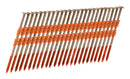 Metabo HPT 3 in. L Plastic Strip Hot-Dip Galvanized Framing Nails 21 deg 4,000 pk
