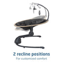 Cassia Baby Swing - Classic Graphite