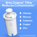 Replacement Water Filters - 4 Count