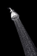 Danze Shower Head, Wall Mounted, Chrome, 2.0 gpm - D460030
