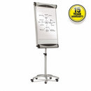 Quartet Gloss-Finish Porcelain Dry Erase Board, Easel Mounted, Mobile/Casters, 41 inH x 27 inW, White - EU2000TE