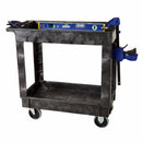 Rubbermaid Utility Cart with Deep Lipped Plastic Shelves, 500 lb Load Capacity, Number of Shelves 2 - FG9T6600BLA