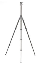 Benro Rhino Carbon Fiber Two Series Travel Tripod with VX25 Head FRHN24CVX25