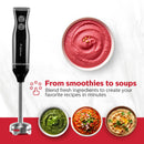 Holstein Housewares 2-Speed Hand Blender in Black