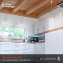 Sylvania TruWave A21 E26 (Medium) LED Bulb Daylight 100 Watt Equivalence 2 pk