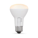 Feit R20 E26 (Medium) LED Bulb Adjustable White 45 Watt Equivalence 2 pk